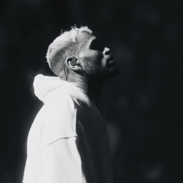 Chris Brown Net Worth, Bio, Wife, Age and Career