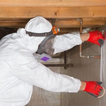 In The Know: How To Pick The Perfect Mold Removal Company In Fayetteville?