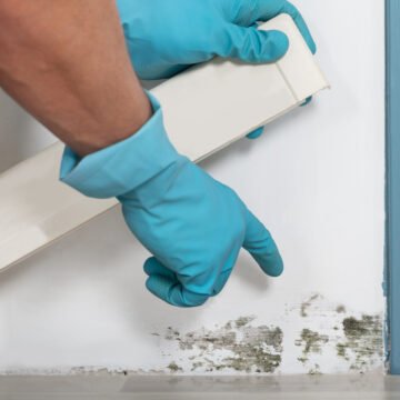 Expert Mold Remediation In Perrysburg: Say Goodbye To Mold For Good